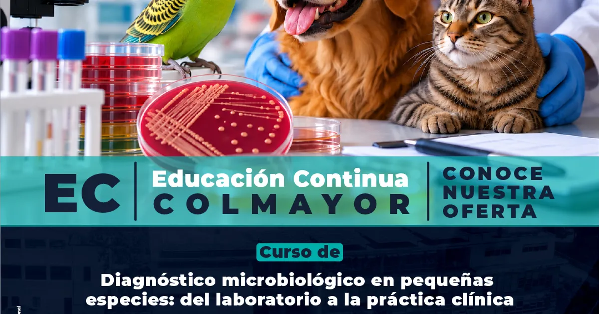 Curso de Diagnóstico microbiológico en pequeñas especies: del laboratorio a la práctica clínica