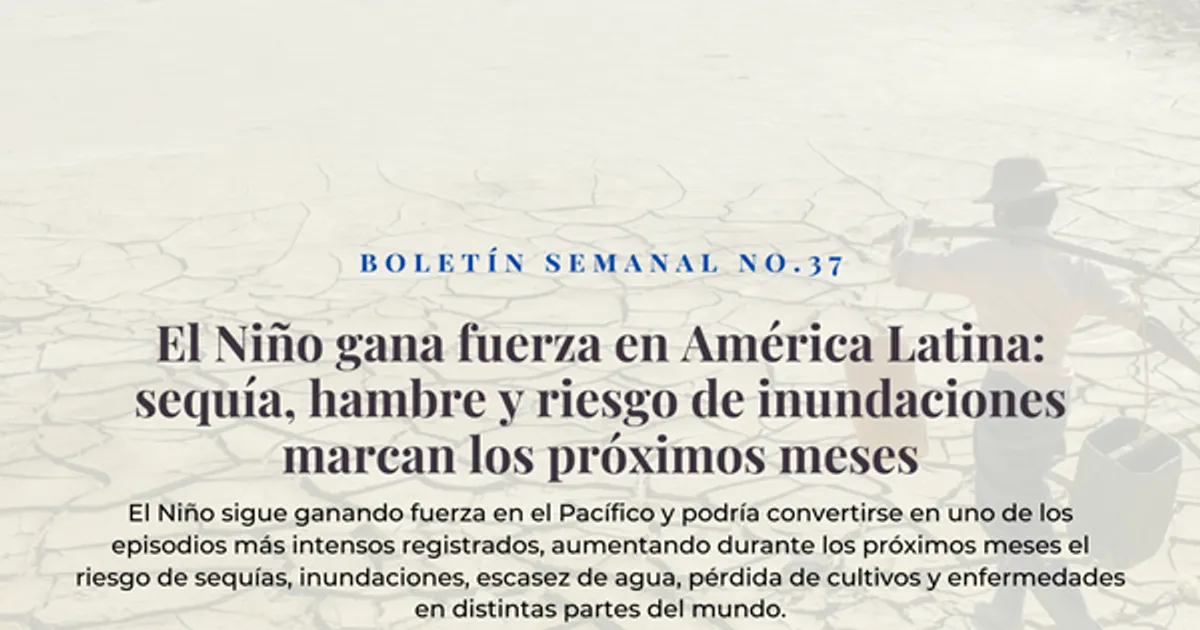 Boletín semanal No. 37 El Niño gana fuerza en América Latina: sequía, hambre y riesgo de inundaciones marcan los próximos meses
